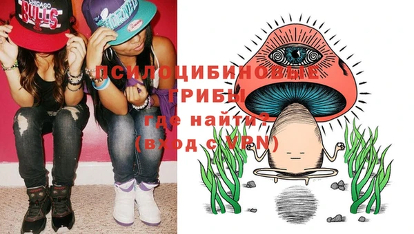 кокс Баксан