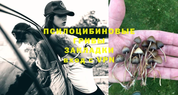 кокс Баксан