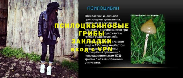 ПСИЛОЦИБИНОВЫЕ ГРИБЫ Балахна
