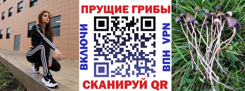 Псилоцибиновые грибы MAGIC MUSHROOMS Югорск